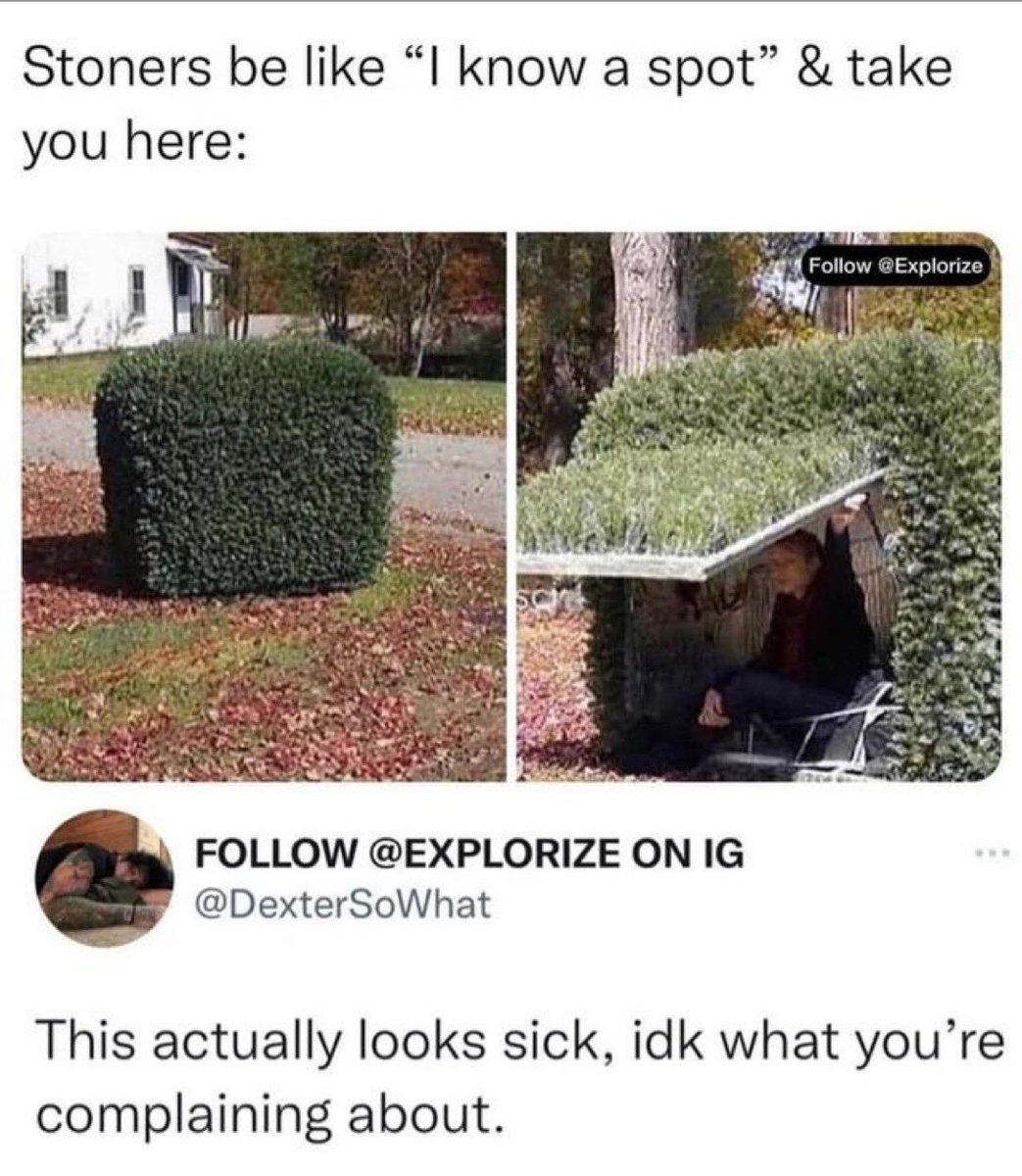 Stoner Barbie (@stonersvilla) on Twitter photo 