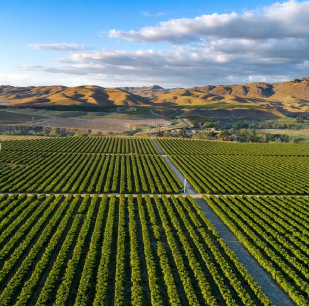 No water = no crops. No crops = no food. It’s that simple. We’re fighting to protect the water that fuels California’s farms. 

#CAWater #FarmWaterMatters #FriantWaterAuthority #CentralValley