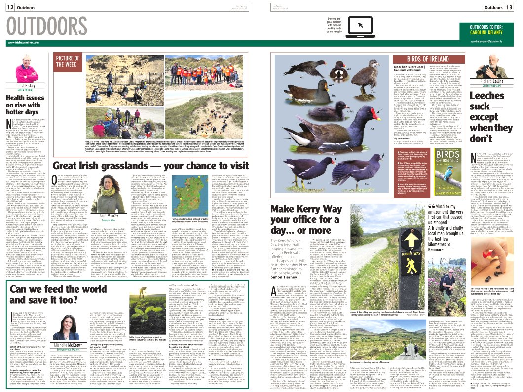 CarDelaney's tweet image. exa.mn/t7z
‣ How to visit great Irish grasslands near you
‣ Rising temperatures and health issues
‣ Feeding — and saving — the world
‣ Leeches mostly suck
‣ Visit the Kerry Way 
#BirdsofIreland — Moor hen
📷 #Worldsandduneday June 28
