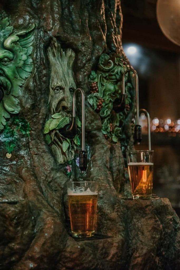 #Solo

'I don't think I should have another one...' was possibly the only truly sobre thought that was running through Lorenzo Rinaldi-Peverell's head as the Green Man Bar's special taps started refilling his and Antonin's glasses.

The pair had gone out with Geraint +