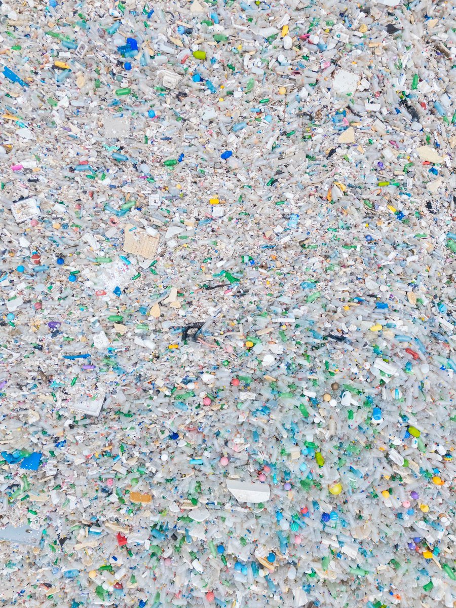 TheOceanCleanup's tweet image. A close-up of our Interceptor catch in Guatemala. What items can you identify?