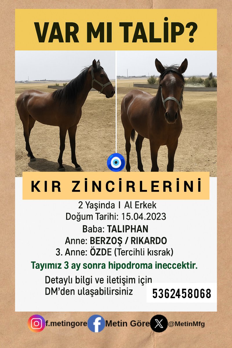 MetinMfg's tweet photo. #Taliphan erkek tayı #KırZincirlerini anne #Berzoş #varmıtalip @varmitalip https://t.co/xqTp5wAOaD