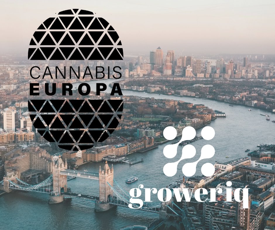 GrowerIQ (@groweriq) on Twitter photo We've landed in London for <a href="/cannabiseuropa/">Cannabis Europa</a> ! โ๏ธ
DM us today to connect while we're on your side of the world.
Let's discuss the future of cannabis compliance! ๐ฑ We've landed in London for <a href="/cannabiseuropa/">Cannabis Europa</a> ! โ๏ธ
DM us today to connect while we're on your side of the world.
Let's discuss the future of cannabis compliance! ๐ฑ