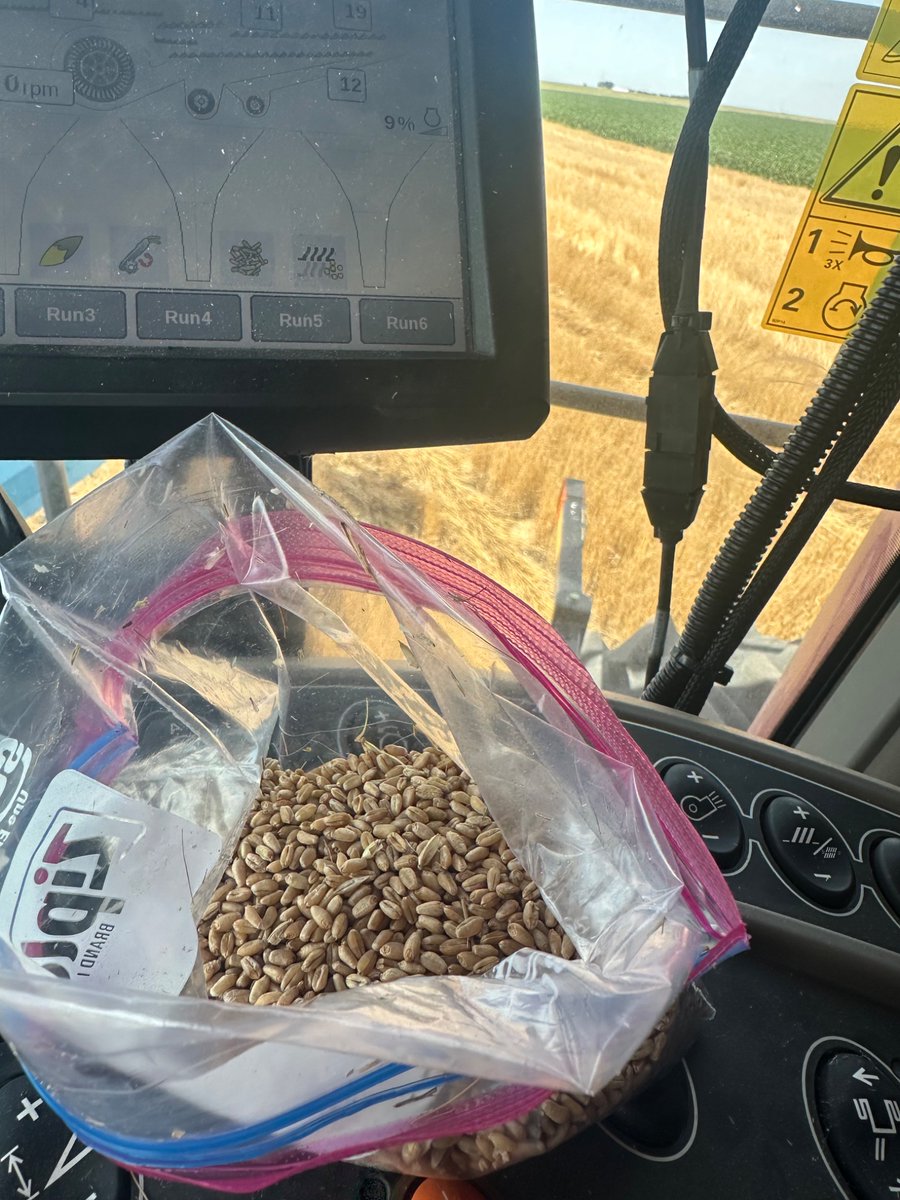 Mid morning harvest snack!