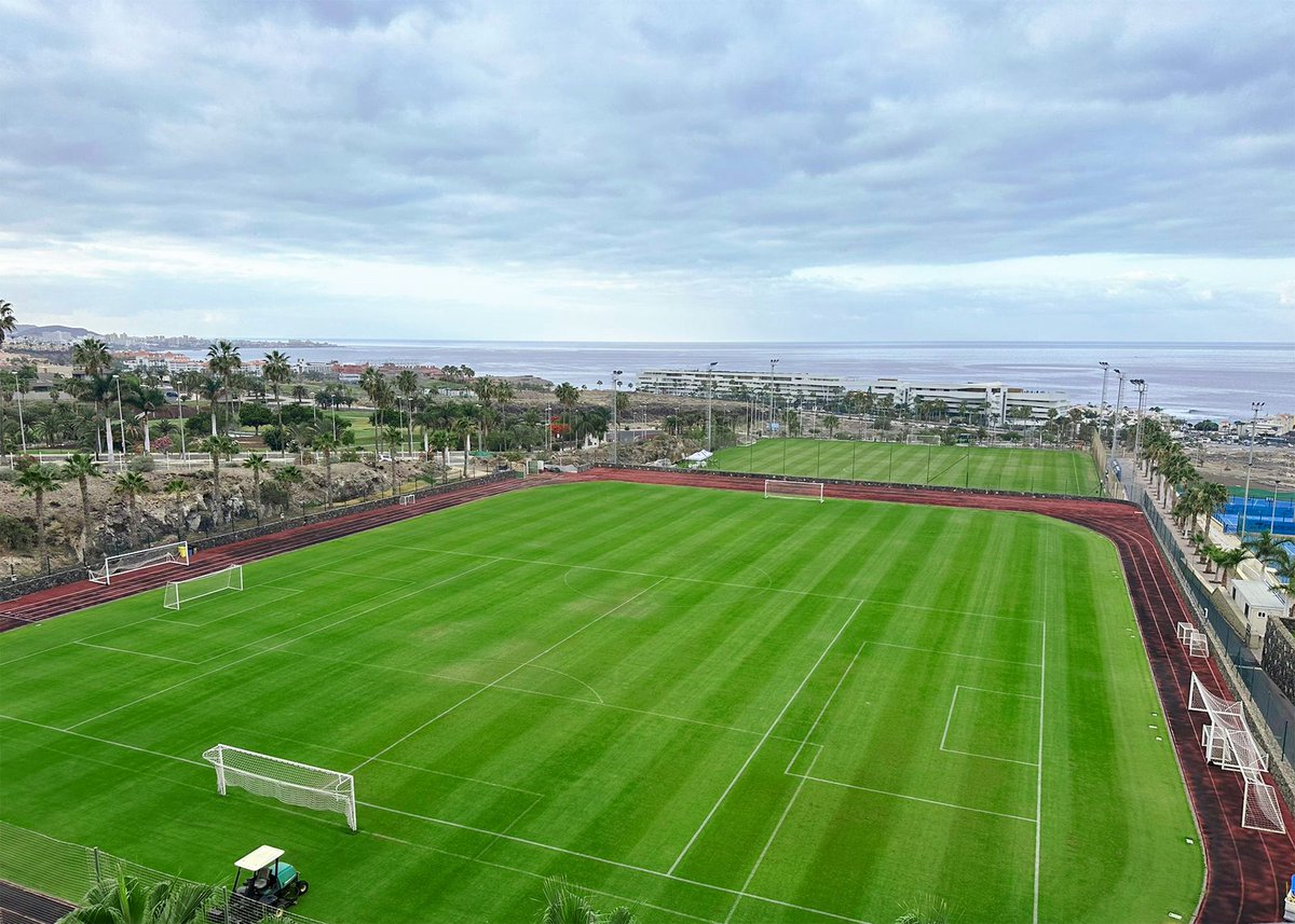 Sportable tweet media