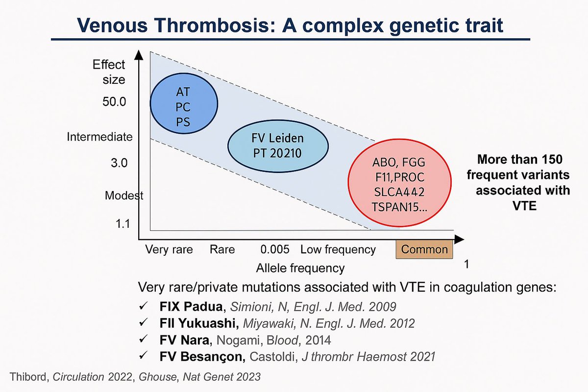 Kirollos Kamel tweet media