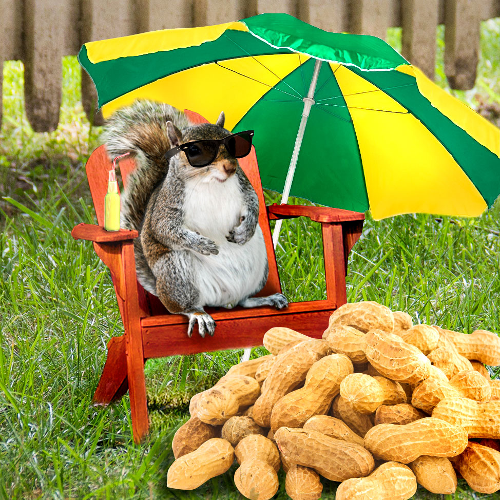 wmsquirrel's tweet image. Baby, it's gonna be a hot one today! Stay cool, everybody!