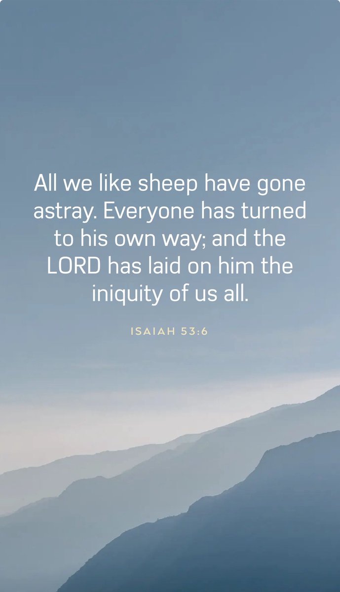 GM frens ✝️