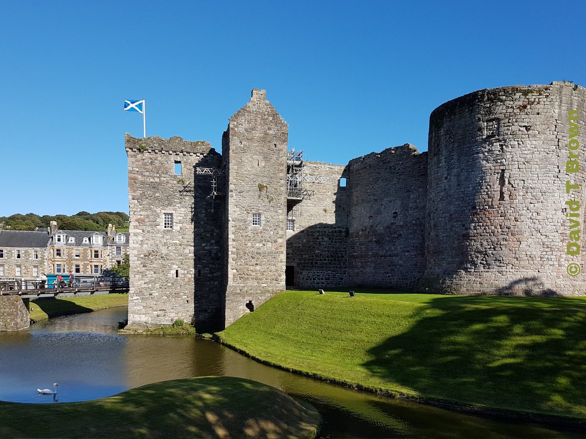 Wild Bute tweet media