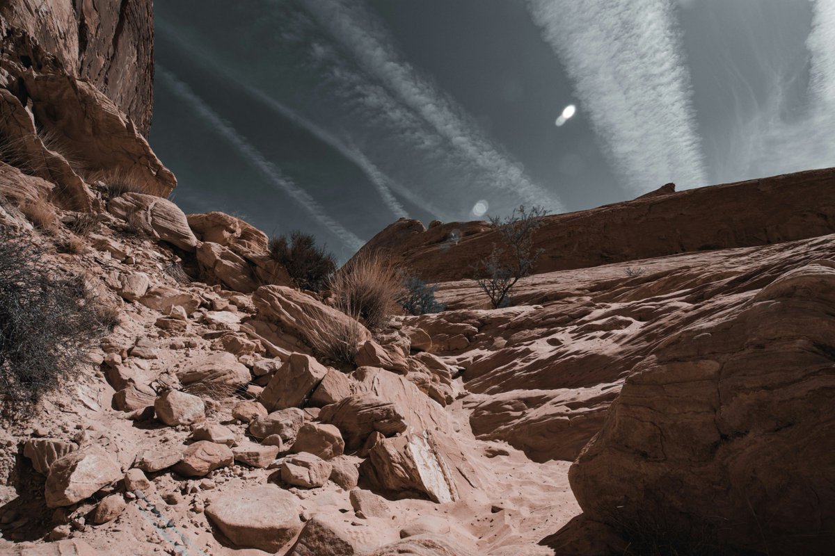 🚨 Dig into the Association of American State Geologists, an AGI Member Society that represents the state geologists of the states and Puerto Rico, and advances #geology and #earthsciences in the US and its territories, commonwealths, and possessions: stategeologists.org