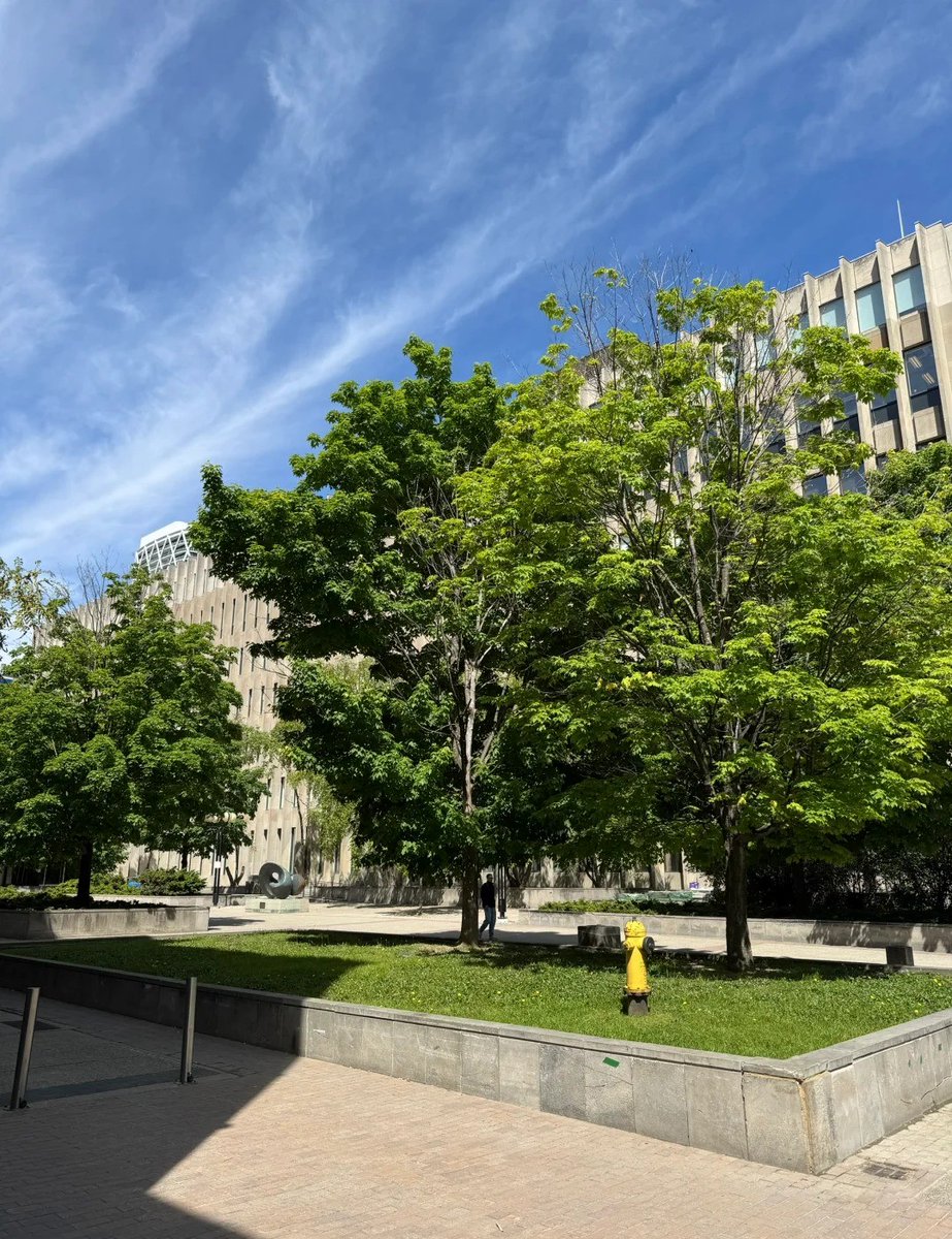 icannotbelieb's tweet image. It’s hard not to fall in love with sunny days in Toronto❤️🇨🇦