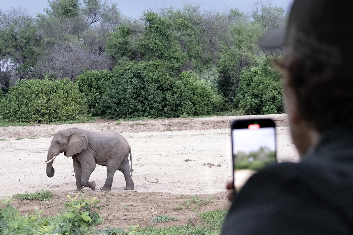 Ubuntu Travel Group tweet media