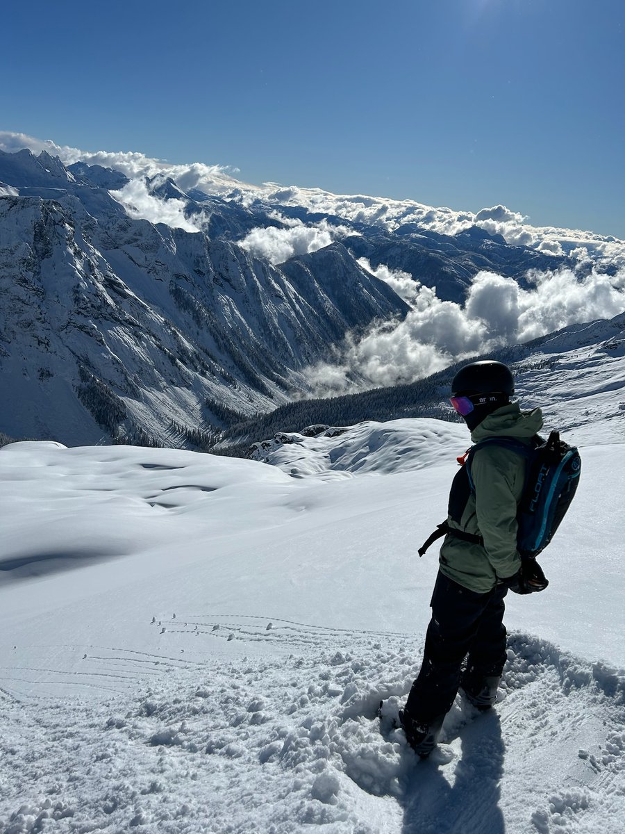 Tyler Lane tweet media