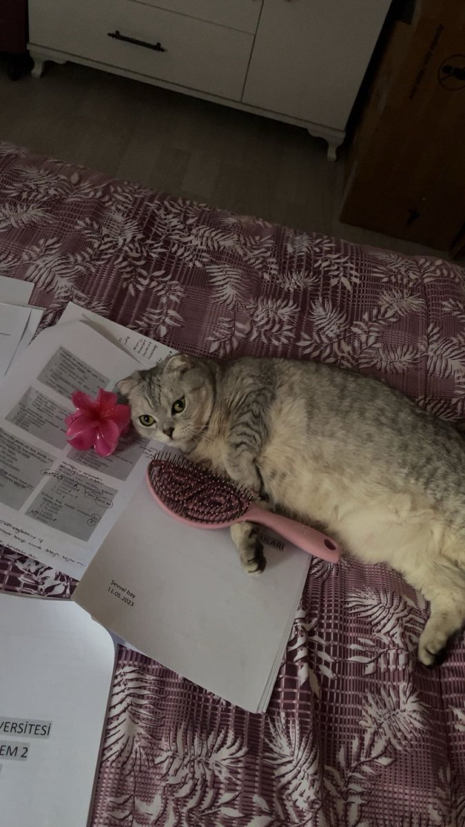 hem akademi kasalim hem guzel olalim derken bizim perisanlik