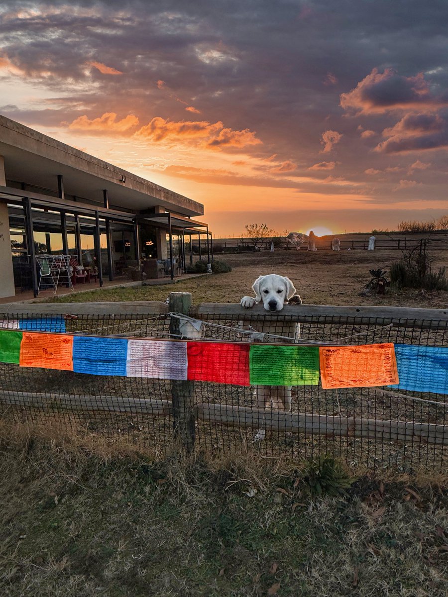 Skye Grove tweet media