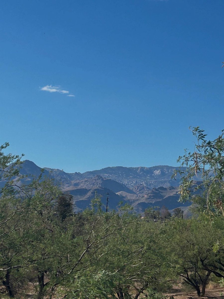 Mt Lemmon Hotel tweet media