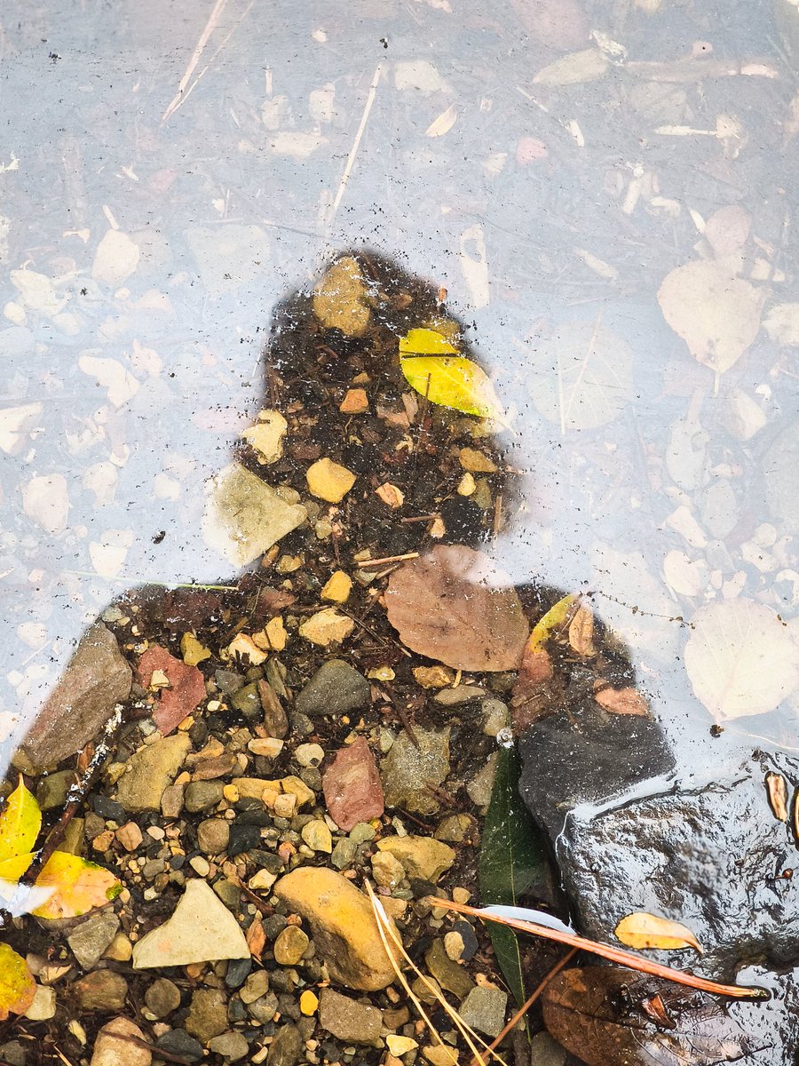 Mundu zoro honetan,natura eta maitasuna ezinbestekoak dira  ezbehar guztiei aurre egin ahal izateko. Zorionekoak gu, hain leku ederrez goza dezakegunok. 🪵🌾🪻🪨💦🔥✨💖