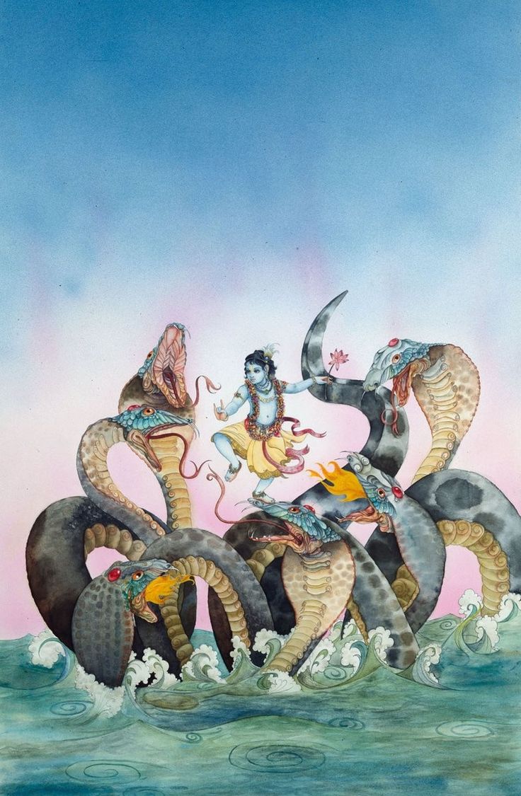 Narayana ✨
