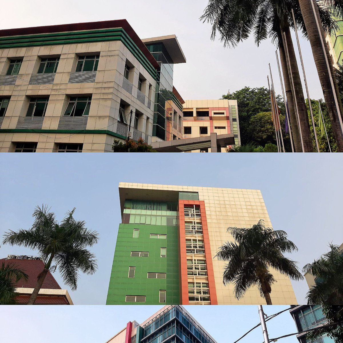 sunfleurbelle's tweet image. semoga kita bisa kerja di bidang yang kita cintai.