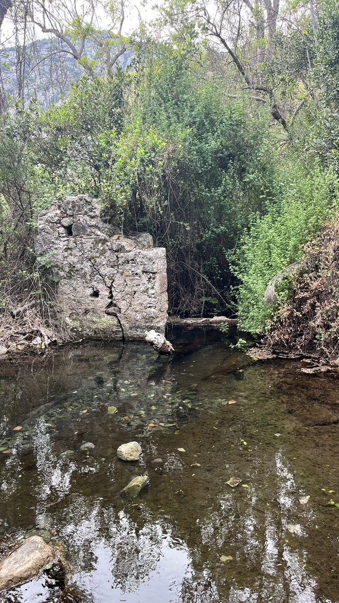 InforundeVlog's tweet photo. 🇹🇷 Olympos’ Verlassene Mauern im Morgengrauen #entdecken #discover https://t.co/I71xffYO8I via @YouTube https://t.co/r5GUgs9rxi