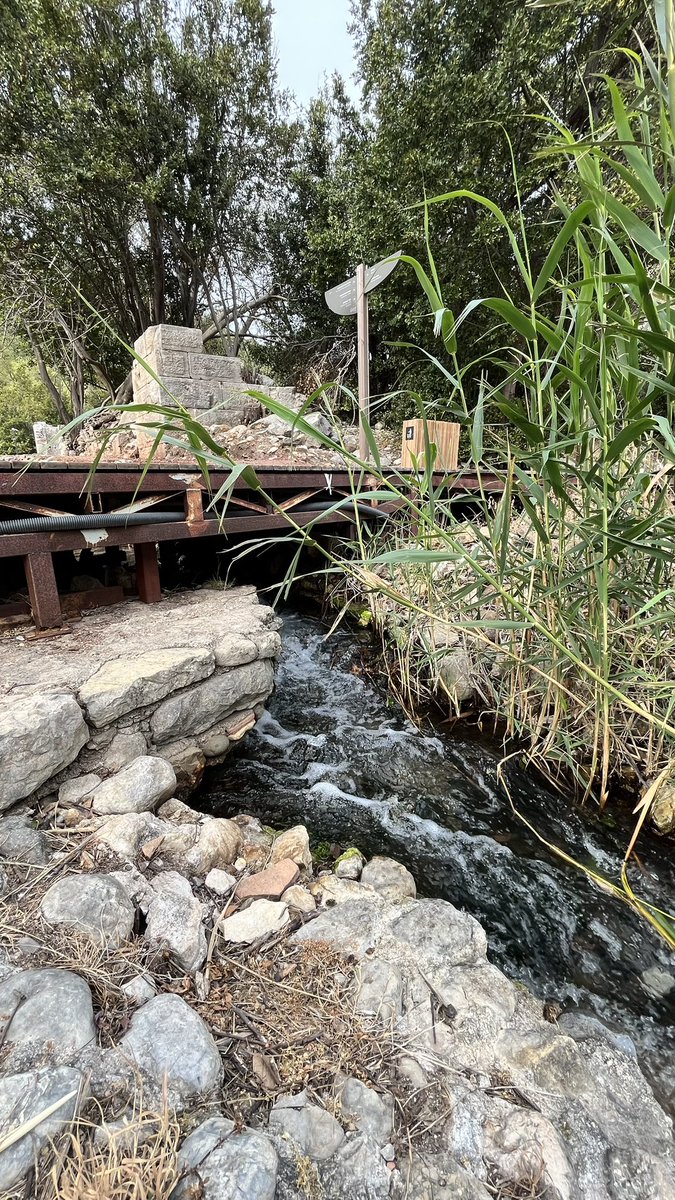 InforundeVlog's tweet photo. 🇹🇷 Olympos’ Verlassene Mauern im Morgengrauen #entdecken #discover https://t.co/I71xffYO8I via @YouTube https://t.co/r5GUgs9rxi