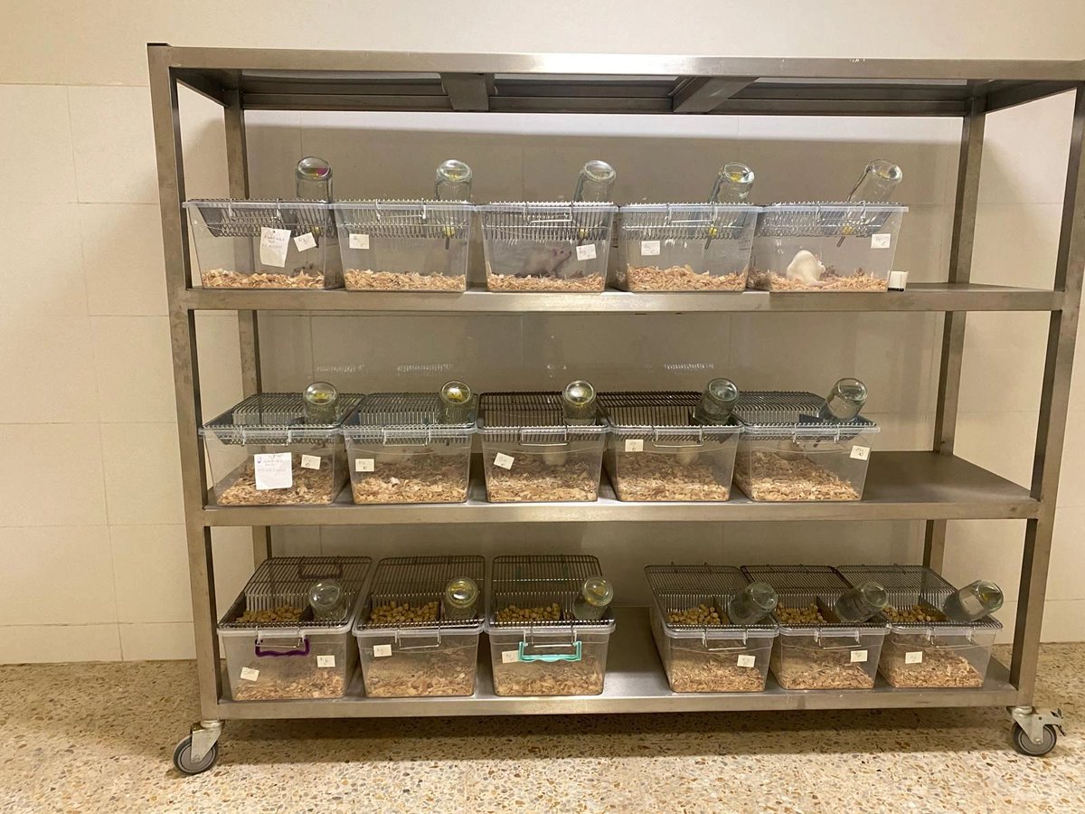 MED4PEST tweet media