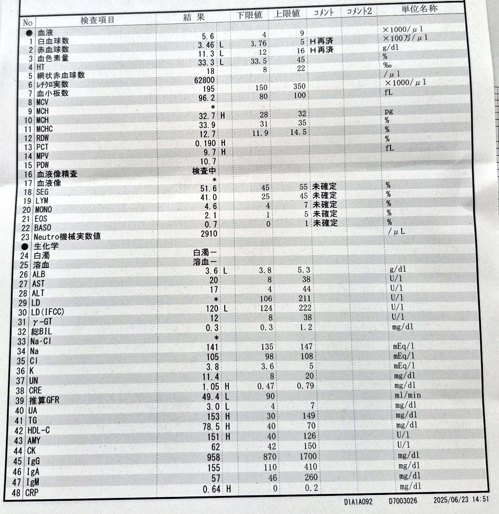 今月も陰性〜〜〜🎉🎉

でも、、、、、1週間くらい下痢がとまらないし
2ヶ月前から尿から異臭がするし
さすがに治らないので検尿してきた😭
なんか異常があればすぐ連絡くれるみたいだけど…
心配です、電話怖いです、なにごともありませんように…
やだよ、白血病以外の病気なんて
神様お願いもうやだ
