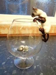 What was in your Nans house? <a href="/bbcmerseyside/">BBC Merseyside</a>