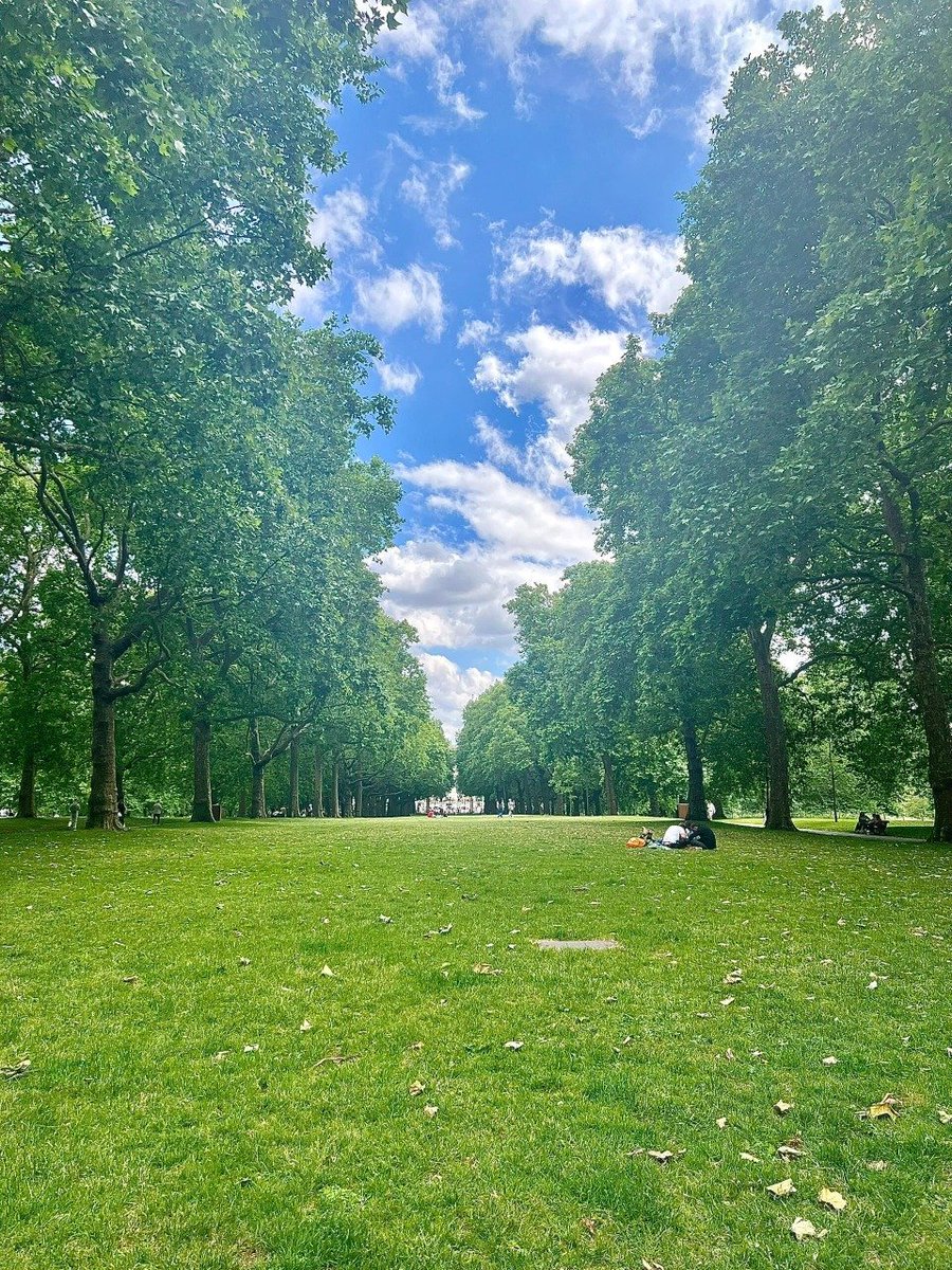 Park strolls &amp; positive souls 🚶‍♂️✨💚