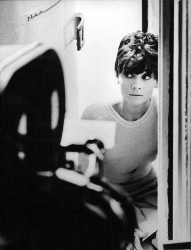 goldenagefilm's tweet photo. Some great #BTS photos from Audrey Hepburn’s classic 1967 Horror film, Wait Until Dark, which was her only venture into the horror genre. Co-starring Alan Arkin, Richard Crenna, Jack Weston and Efrem Zimbalist Jr. and directed by Terence Young. https://t.co/qzy3FHRzou