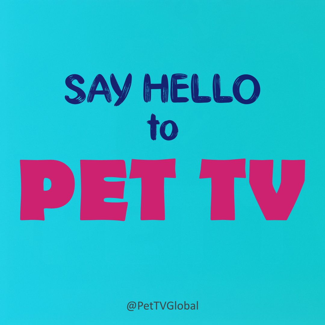 pettvglobal's tweet image. 🎬 Say hello to PET TV!
A brand-new YouTube channel celebrating pets — with weekly hacks, emotional stories, and lots of wagging tails.
🐾 Pet Hacks every Friday
❤️ Pet Tales every Sunday
📺 Launching 1st July
#PetTV #PetLoversIndia #PetCareTips #PetTales #DogCareIndia #CatLove