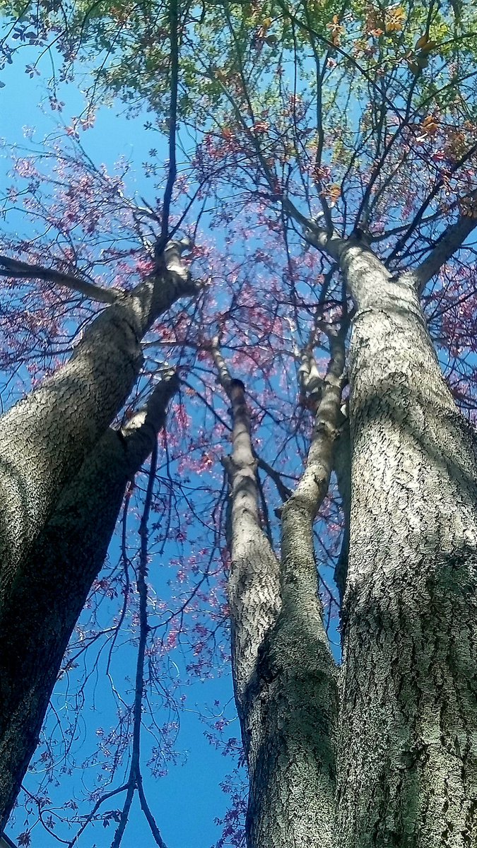 Enjoining the Universe...