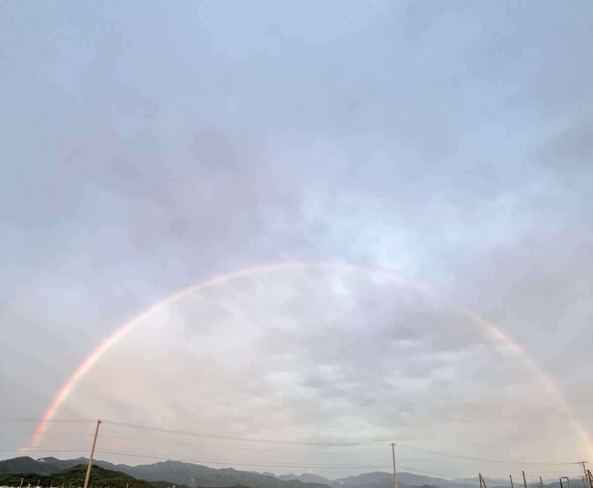 青白の魂🏔️ tweet media