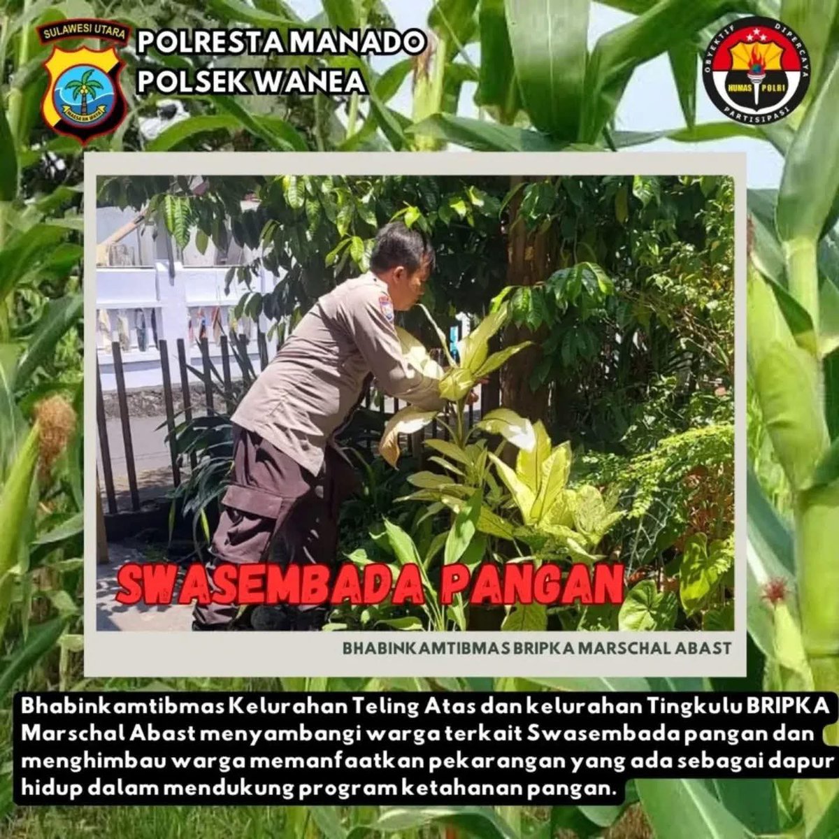 birosdm_sulut's tweet photo. Polda Sulut mendukung Swasemba dan Ketahanan Pangan Indonesia
Polri Siap Kawal dan Sukseskan Asta Cita Presiden Prabowo
#swasembadapangan 
#ketahananpangan 
#polisicintapetani
#poldasulut
#ketahananpanganpoldasulut
#swasembadapanganpoldasulut
#polri
#Polrimendukungketahananpangan https://t.co/xkotug4qR2