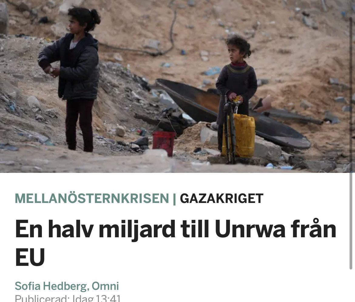 Maria Falk tweet media