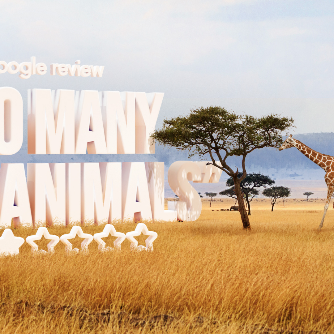 Don’t let your wallet stop you from experiencing your dream holiday. 😎

Want affordable vacays? Sign up today for #DreamEscapes at: bit.ly/45vP7OU

#DreamHotels #DreamResorts #DreamEscapes