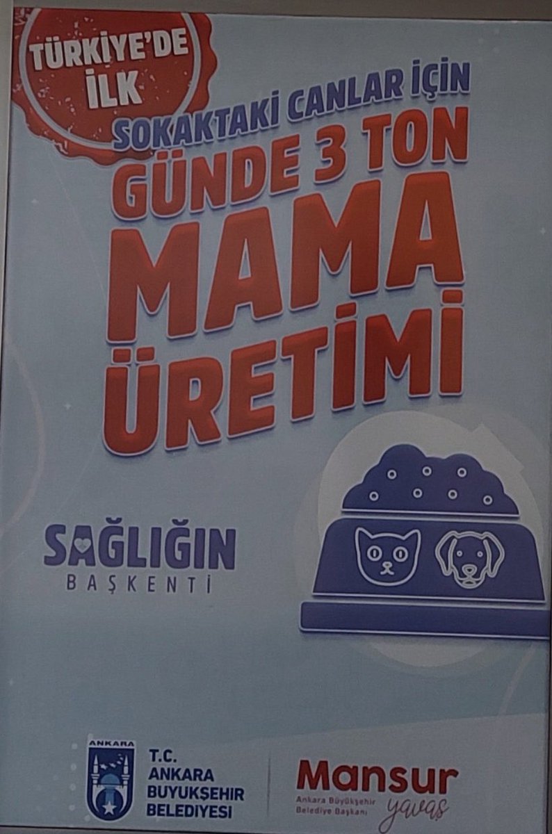Kaç ton dışkı?
Kaç kist hidatik vakası?
Kaç kuduz aşısı?
Kaç çocuk ölümü? 
Kaç trafik kazası? 
Kaç kuş, kirpi, karaca ölümü? 

#sokaktabaşıboşolmaz