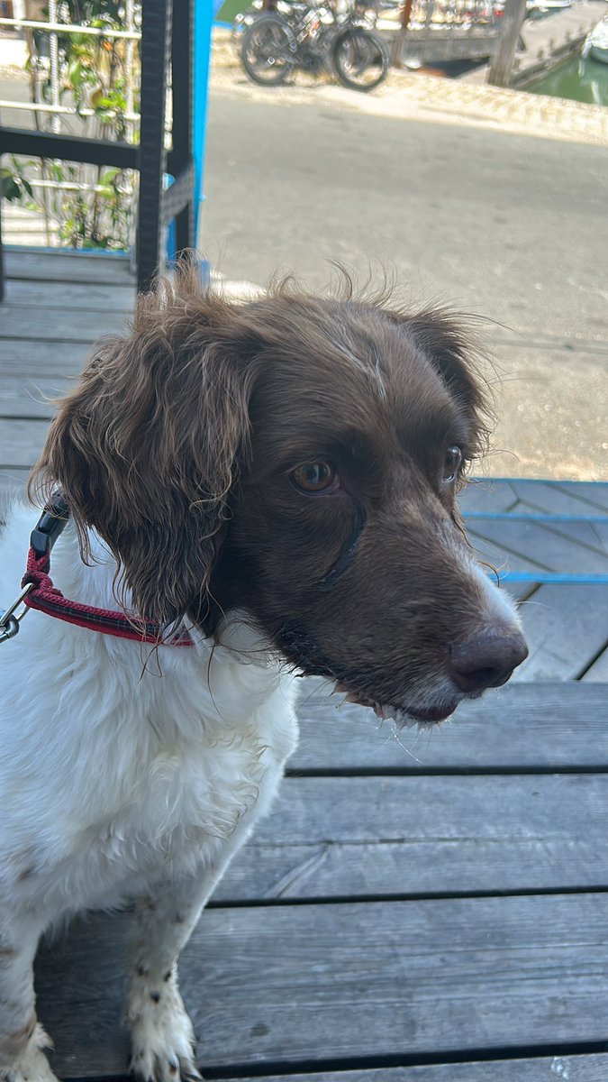 Simon Glew tweet media