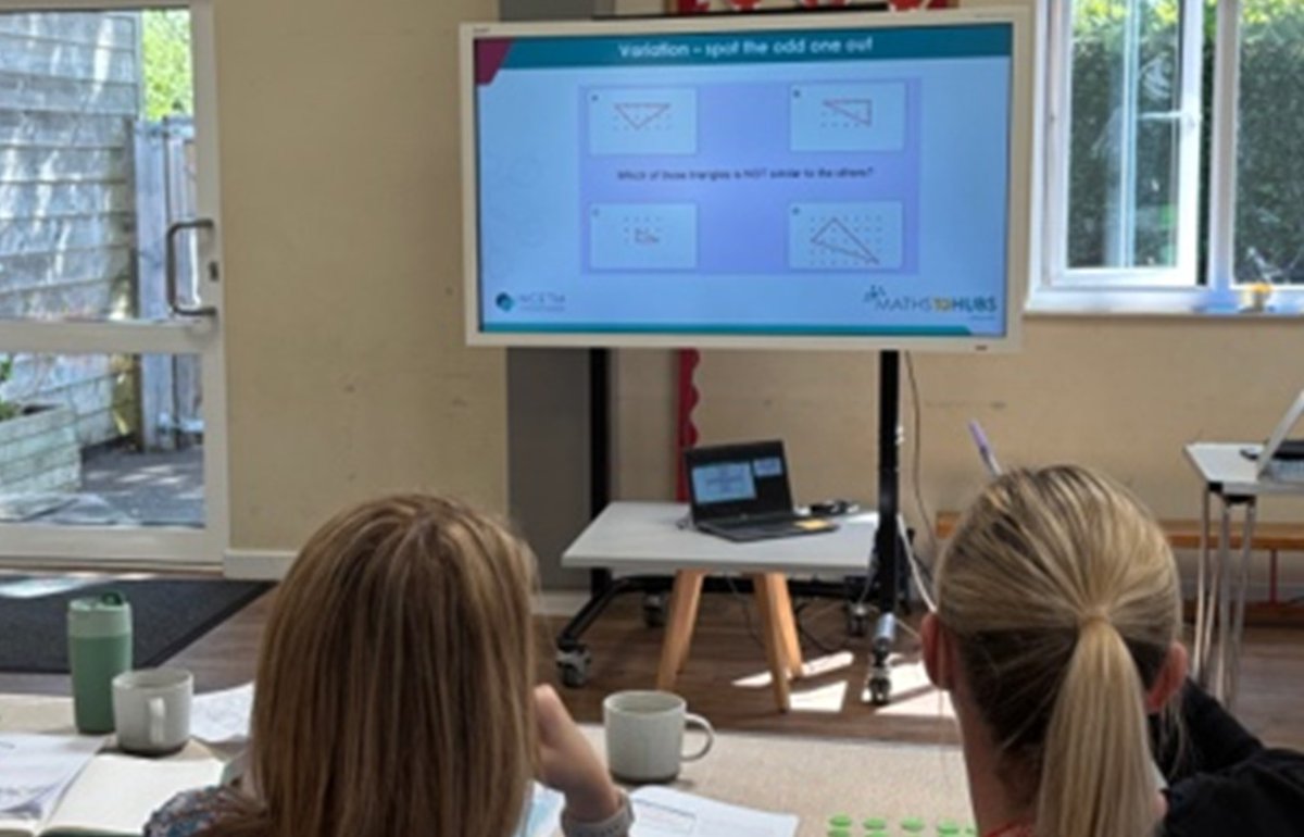 In our developing workgroup, we focused on conceptual variation and the importance of drawing attention to the essential features of a concept. Participants spent time exploring examples and non-examples of a concept they were about to teach and writing a definition/general rule.