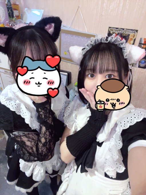 にゃんこメイドカフェ にゃんさんぶるのツイート