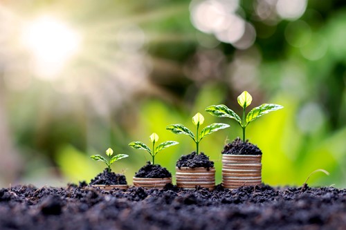 How much savings interest is tax-free in 2025–26? #SavingsAllowance #TaxFreeInterest tinyurl.com/2dppgt6t