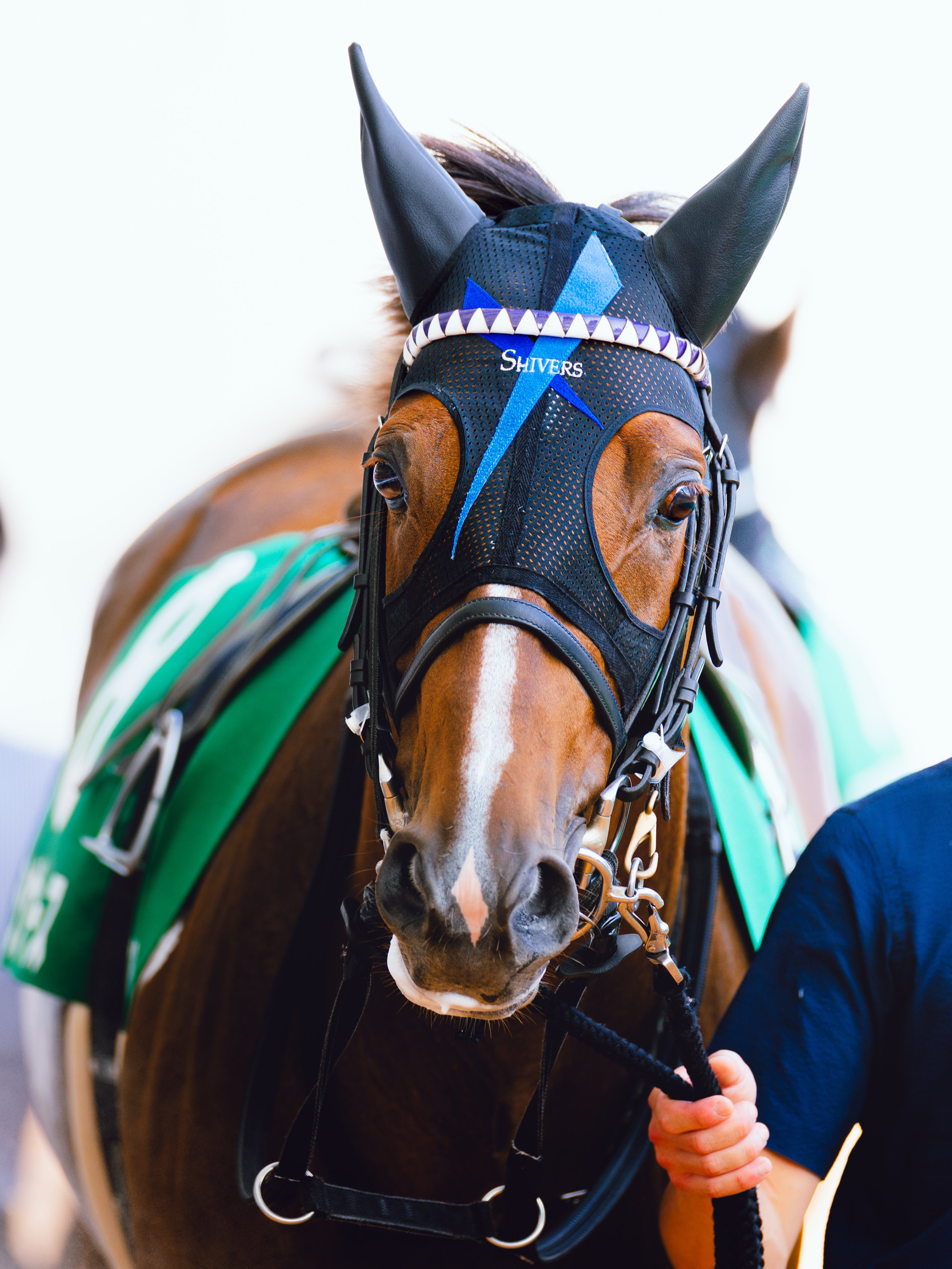 軸馬さがし未公開テクニック 勝馬サインを正しく読む 軸馬さがし未公開テクニック 勝馬サインを正しく読む 風花良の1000万