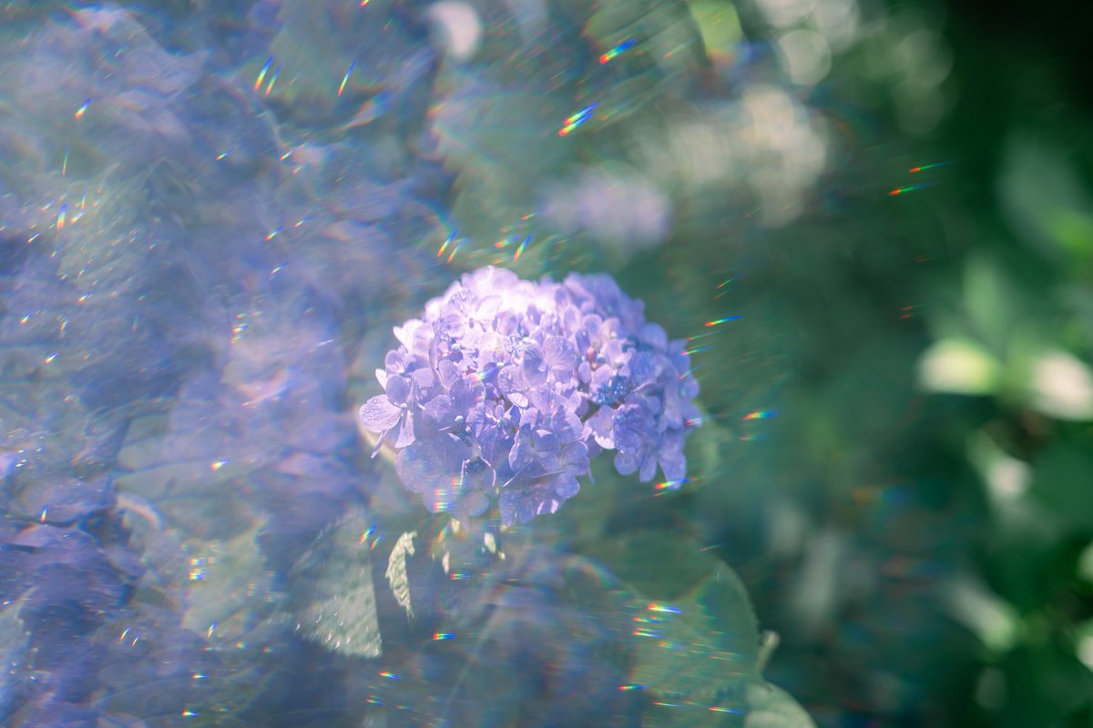 86ca86's tweet image. 目に映る以上の美しさ。