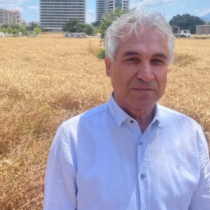 bosunatiklama's tweet photo. Bursa'da bir vatandaş, gökdelenler arasında kalan 150 milyon TL değerindeki arsasını satmayı reddedip buğday ekti. https://t.co/QNQepl4Fcd