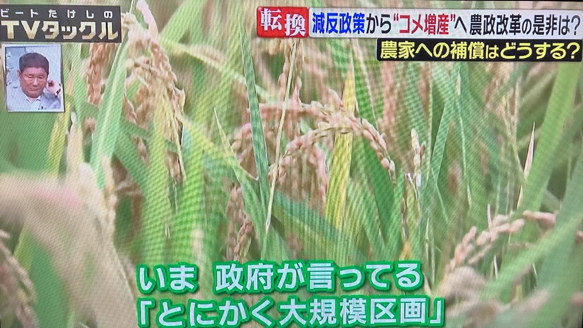 tetsuginsuzuki's tweet photo. 6/22 TVタックル③ 「大規模化してスマート農業と輸出でバラ色の未来が拓けるというのは机上の空論。それですべてが解決するなら誰も苦労していない」(農村現場を見てほしい) https://t.co/VHbD4OHVeh