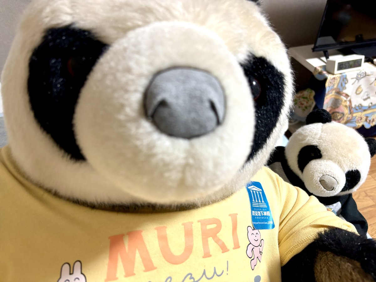 ダイジロウくんって、自撮りがじょうずなんだよ〜👏👀📸
#上海パンダ #ぬい活