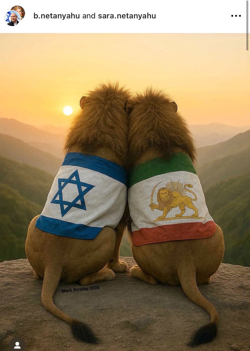 gghamari's tweet photo. 🔴Prime Minister @netanyahu posted this image on his Instagram story.

The Lion of Israel and the Lion of Iran are watching the sun rise into the sky.

I truly believe we're living in historical times. https://t.co/5LZEzEZ3Mh