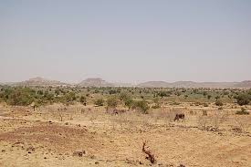 Malijetactu's tweet photo. Le virage écologique: Un tournant à ne pas rater pour le Mali et le Sahel https://t.co/A6BLoRZ47S #malijet #virage #écologique #tournant #rater #Mali #Sahel https://t.co/XWSzYYxfBv
