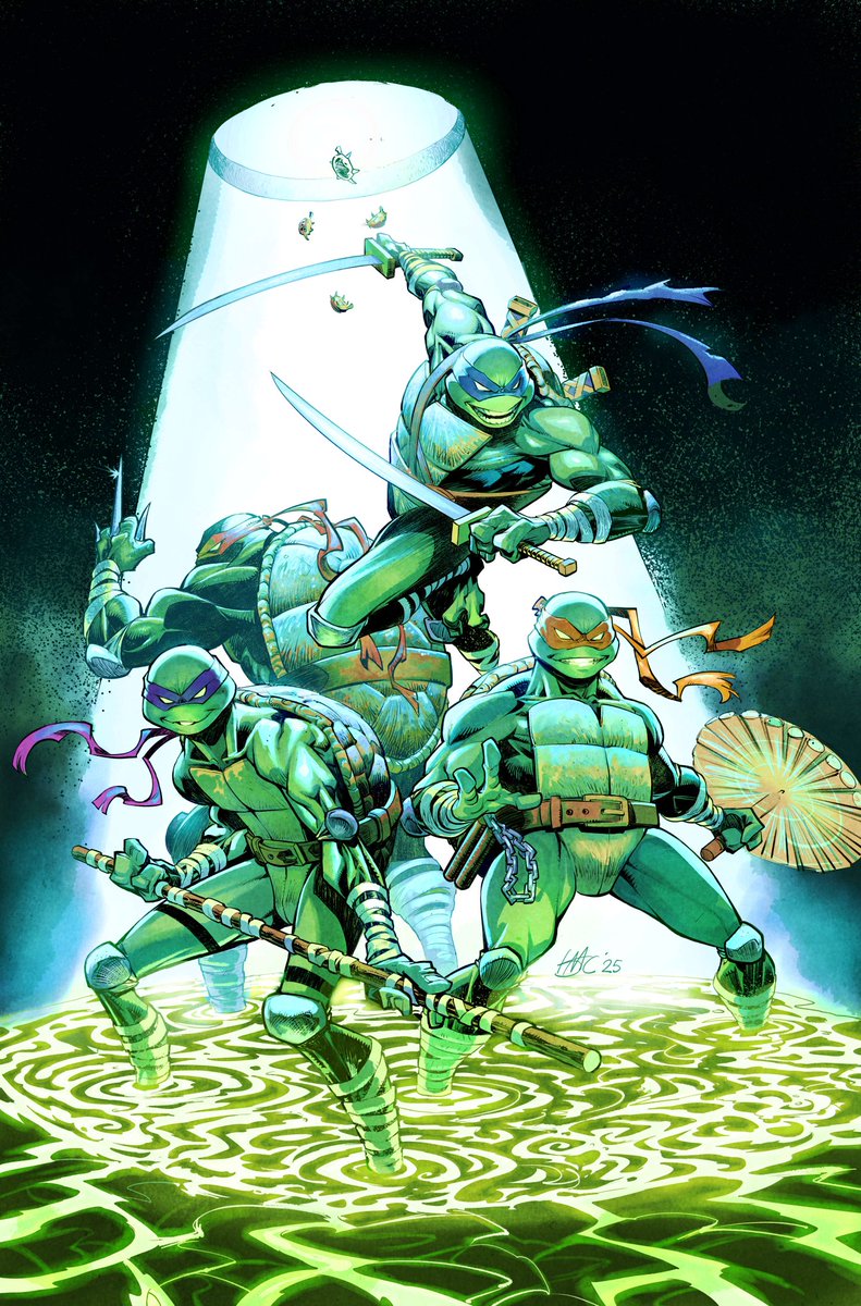 Felt like drawing some Teenage mutant ninja turtles 🐢