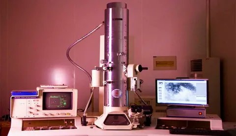 shitalmaximize's tweet image. “Transmission Electron Microscopy Market Set to Surge from $0.89 Bn in 2024 to $1.25 Bn by 2032”

Sample Report Link:maximizemarketresearch.com/request-sample…

#TransmissionElectronMicroscopy #Jeremiah #Hali #Shai #Khamenei #Kerala #MicroscopyMarket #MarketForecast #NanotechGrowth